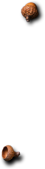 Ostradamus Restaurante