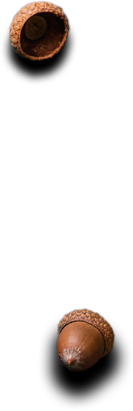 Ostradamus Restaurante