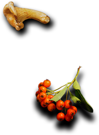 Ostradamus Restaurante