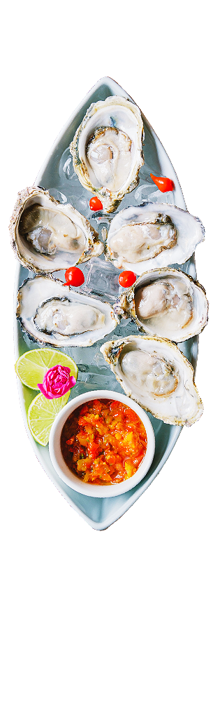 Ostradamus Restaurante